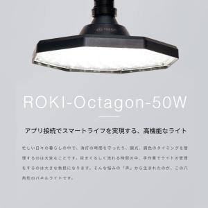 ROKI-Octagon LED 50W BK...の詳細画像4