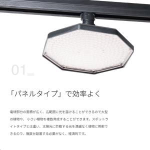 ROKI-Octagon LED 50W BK...の詳細画像5