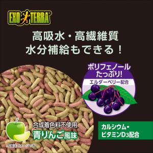 GEX エキゾテラ リクガメブレンドフード 1...の詳細画像5