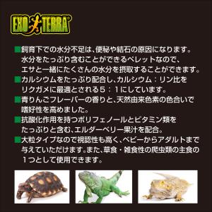 アウトレット品 GEX エキゾテラ リクガメブ...の詳細画像4