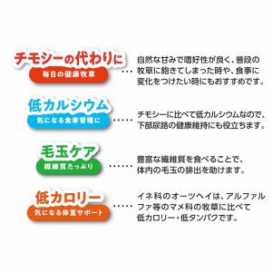 マルカン バニーグレードオーツヘイ 500g×...の詳細画像4