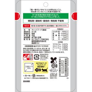 無一物 パウチ かつお 40g はごろも 家族品質の詳細画像1