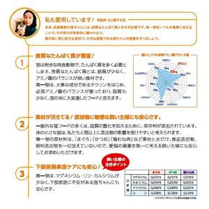 無一物 パウチ かつお 40g はごろも 家族品質の詳細画像4
