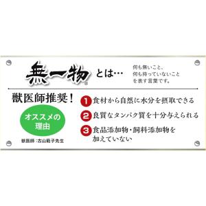 無一物 パウチ 寒天ゼリー かつお 40g 国...の詳細画像3