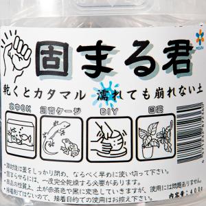 ピクタ 固まる君 400g 水中でも使える造形材!の詳細画像2