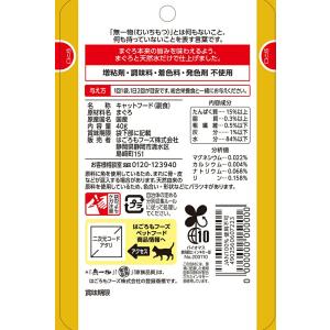 無一物 パウチ まぐろ 40g×12 はごろも...の詳細画像1