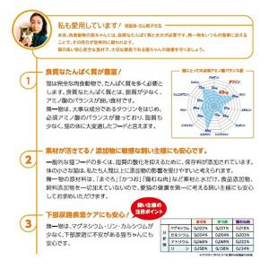 無一物 パウチ まぐろ 40g×12 はごろも...の詳細画像4