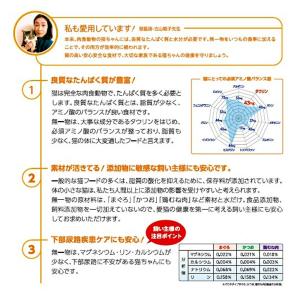 無一物 パウチ かつお 40g×12 はごろも...の詳細画像4