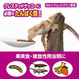GEX RepDeli フルーツ&バグペースト...の詳細画像3