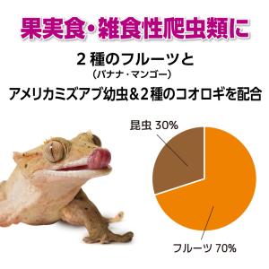 GEX RepDeli フルーツ&バグペースト...の詳細画像5