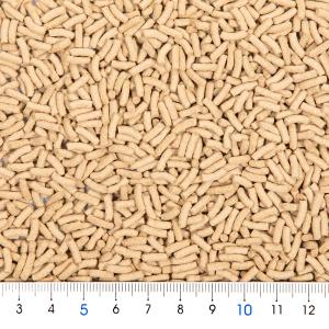 テトラ レプトミン 中粒 70gの詳細画像1