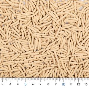 テトラ レプトミン 大粒 200gの詳細画像1