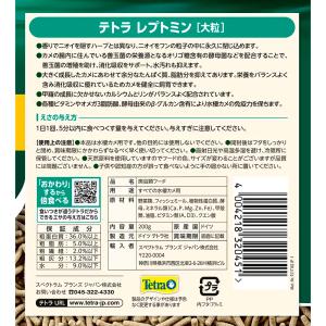 テトラ レプトミン 大粒 200gの詳細画像2