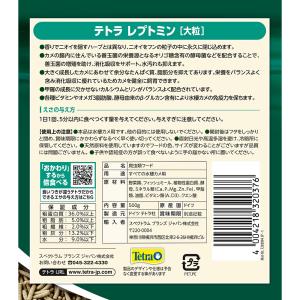 テトラ レプトミン 大粒 500gの詳細画像2