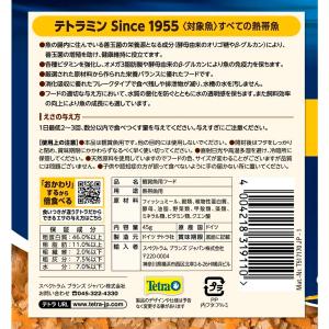 テトラ テトラミン 45gの詳細画像2