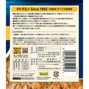 テトラ テトラミン 180gの詳細画像2