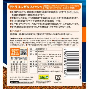 テトラ エンゼルフィッシュ 80gの詳細画像2