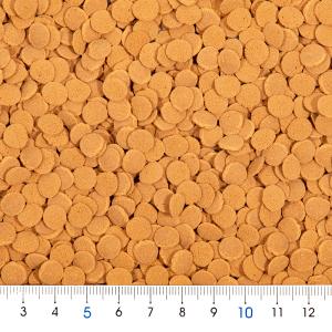 テトラ コリドラス 100gの詳細画像1
