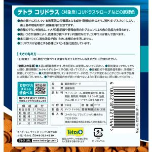テトラ コリドラス 100gの詳細画像2