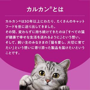キャットフード カルカン パウチ やわらかパテ...の詳細画像1