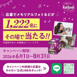 キャットフード カルカン パウチ 成猫用 まぐ...の詳細画像4