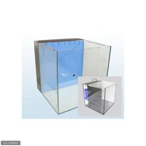 GEX グラステリア　オールガラス水槽 900 グラステリア900 6点セット 水槽3年保証 | ジェックス株式会社