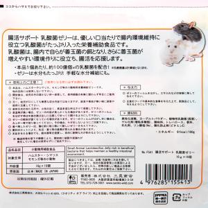 三晃商会 腸活サポート乳酸菌ゼリー 16g×1...の詳細画像2