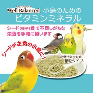 三晃商会 ウェルバランス 小鳥のためのビタミン...の詳細画像1