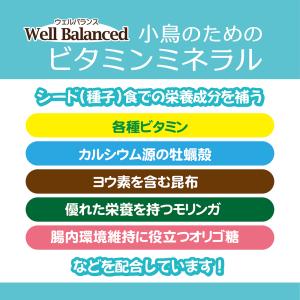 三晃商会 ウェルバランス 小鳥のためのビタミン...の詳細画像2