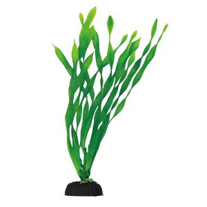 コトブキ工芸　ＰＯＮ−シングル　バリスネリア