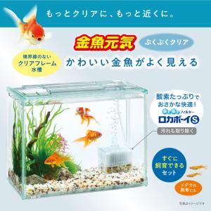 GEX 金魚元気 ぶくぶくクリア300 幅31...の詳細画像1
