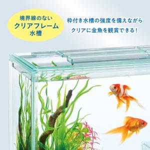GEX 金魚元気 ぶくぶくクリア300 幅31...の詳細画像5