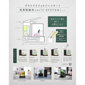 GEX 水槽セット グラスアクア PERCO ...の詳細画像4