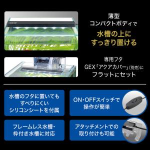 GEX クリアLED フラッティパワー 150BKの詳細画像4