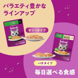キャットフード カルカン パウチ 成猫用 お魚...の詳細画像3