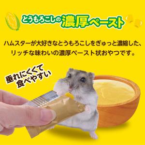 GEX ハムリッチ ぺろっとコーン 2.5g×...の詳細画像3