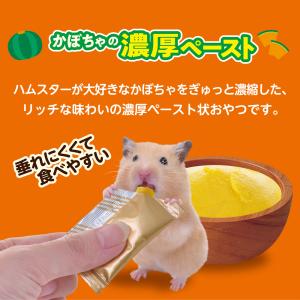 GEX ハムリッチ ぺろっとパンプキン 2.5...の詳細画像3