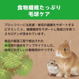GEX ヘルシーレシピ ブロッコリーぽりぽり 15gの詳細画像4