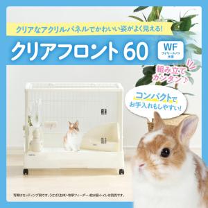 GEX クリアフロント60WF 幅62.0×奥...の詳細画像1