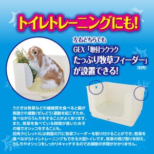 GEX 四角ラビレットXL消臭セット ミルキー...の詳細画像4