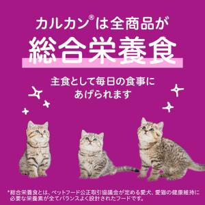 カルカン パウチ 12ヵ月までの子ねこ用 お魚...の詳細画像4