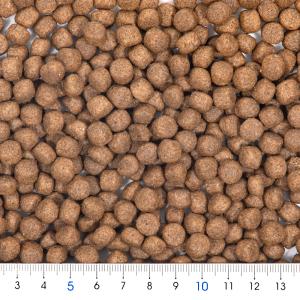 錦鯉用フード スイミーリッチ 大粒 3kg 餌 飼料の詳細画像1