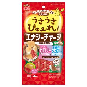 マルカン　うさうさぴゅーれ　エナジーチャージ　りんご風味　１０ｇ×４本