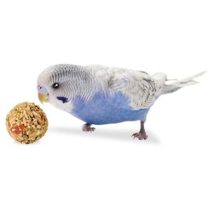 マルカン インコのかじりま専科 ボール 8個の詳細画像2