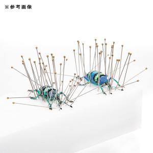 標本針 BOHEMIA InsectPins ...の詳細画像3