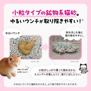 ライオン 0歳(子猫)からのニオイをとる砂 小...の詳細画像1