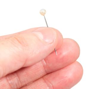 標本針 展翅・展足用玉針 50本入りの詳細画像2