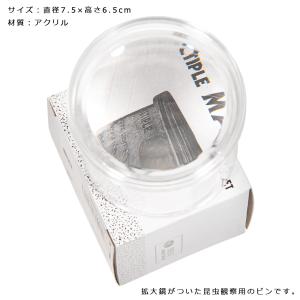 BugDorm 昆虫観察ビン 70×59mm ...の詳細画像2