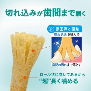チューデント 超長持ち歯みがきガム M-L 5本入の詳細画像3