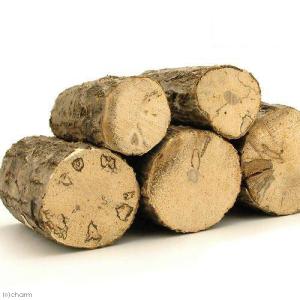 選別もれ 産卵木 細目(〜7cm未満) 1本の詳細画像2